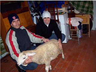aide 2007 com mhd .